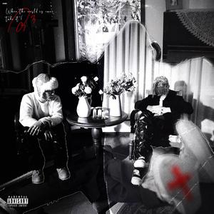 激情视频在线观看2019最新
