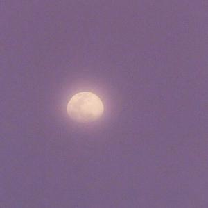 激情视频在线观看2019最新
